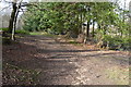 Footpath junction, Bushy Wood in RH5 6JP