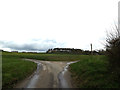 The Hollows & Bridleway in IP6 9UE
