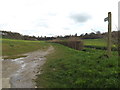 Bridleway to Dial Farm & The Hollows in IP6 9UE