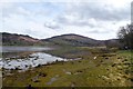 Salt marsh at Loch Laich in PA38 4DD