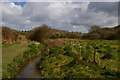 View up the valley from the head of Carminowe Creek in TR12 7PR