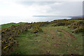Wales Coast Path on Pwlldu Head in SA3 2AT