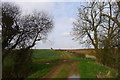 Track leading to fields north of Dembleby in NG34 8SX