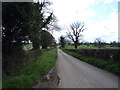 Minor road towards Dalbury  in Dalbury Lees