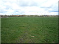 Grazing near East Mammerton Farm in DE6 3DE