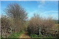 Monarch's Way from Broadoak Road in DT6 6HJ