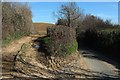 Track meets lane, Old Warren Hill in DT6 6HJ