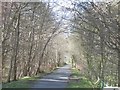 Railway path, Penicuik in EH26 8JP