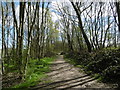 The Green Chain Walk crossing East Wickham Open Space in DA16 3JU