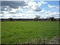 Grazing west of Ashbourne Road in DE65 5AT