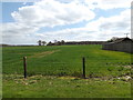 Field off the entrance to Home Farm in IP6 9XB