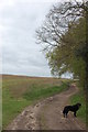 Bridleway to Stanway Hall Farm in Heckfordbridge