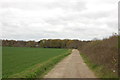 Bridleway to Stanway Green in CO3 9XH