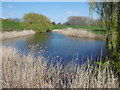 Pond at Crossway Park in Thamesmead East Ward
