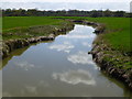 River Beult from Hawkenbury bridge in TN12 0DT