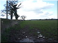 Grazing and hedgerow near New Top Farm in DE6 5AD