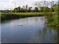 The River Wylye in SP2 0PD