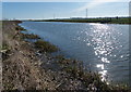 River Nene at North Fen in Whittlesey North West Ward