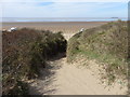 Path through the dunes, Berrow in TA8 2QS