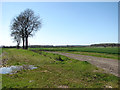 Drainage ditch beside Freshgap Lane in NR20 5QJ