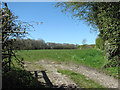 Pasture south of Alder Carr in NR20 5DD