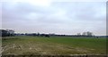 Flat Wealden farmland in TN12 9NW