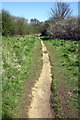 Footpath through woodland following lifted mineral railway in OX16 1EP