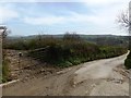Narrow lane and muddy gateway at Cobbeston Farm in TQ9 6DS