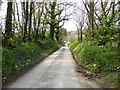 Lane from Staverton to Willing Cross in TQ9 6DZ