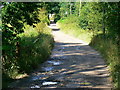 Footpath, Keeper's Cottage, near West Dean in SP5 1AQ