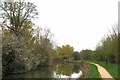 Spring Blossom & Stort Navigation in CM20 2DP