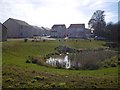 Lochend: Pond and new houses in EH42 1GQ