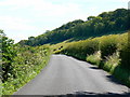Road to West Dean in SP5 1HW