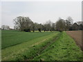 Footpath near Copdoe's Farm in Great Whelnetham