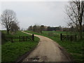 Track to Great Welnetham in Little Whelnetham
