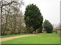 Driveway to Great Welnetham Hall in Little Whelnetham