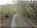 Track leading into The Plants, Tudeley Woods in TN11 0PW