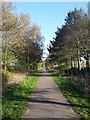 Cycle path near Naburn in Naburn