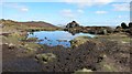 Doxey Pool on the summit of The Roaches in ST13 8UB