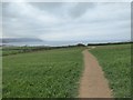 Track across field north of Widemouth Bay in EX23 0YU