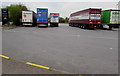 Five lorries in Sedgemoor Services Northbound lorry park in BS26 2UF