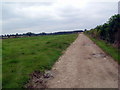 Track to Oundle wood in Stoke Doyle