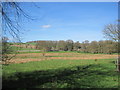 Farmland and View Across Eslington Park in NE66 4UR