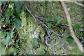 Benchmark on old gatepost near Buckland Ripers in DT3 4BS