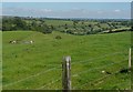 Looking down the valley, Ellingham wood on the left. in BA4 6DD