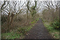 Path at the top of Highpool Lane in SA3 4TY