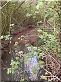 A small feeder of the River Severn in CV31 1UT