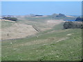 View ENE from Hadrian's Wall near Milecastle 40 in NE47 7AN