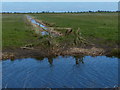 Drain crossing the Nene Washes in PE7 1RH