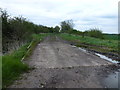 Farm track on Waterbeach Fen in CB25 9RP
